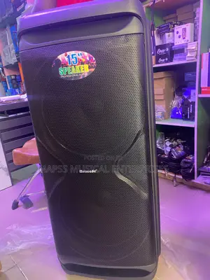 Meirende 15" Professional Audio Speaker