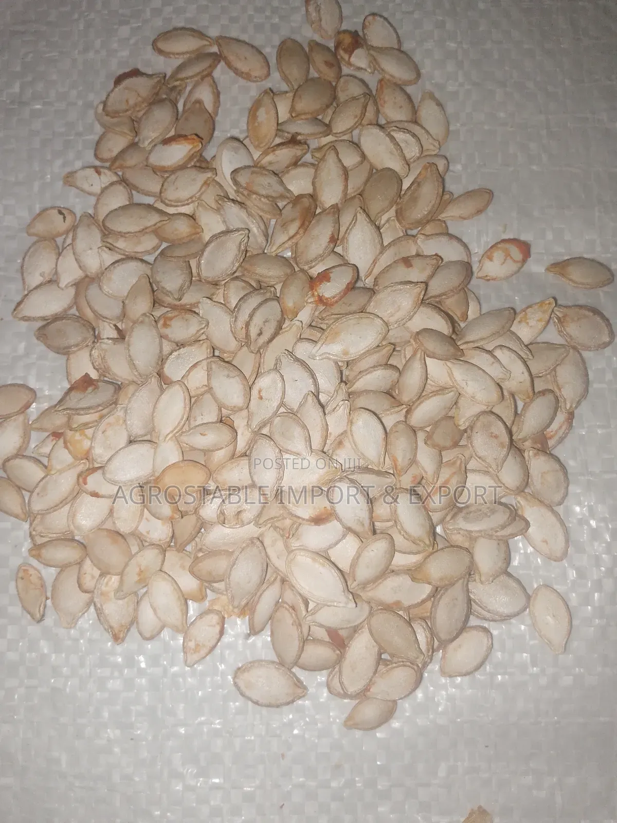 Chad Pumkin Seeds