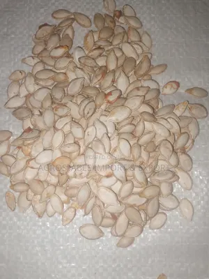 Chad Pumkin Seeds