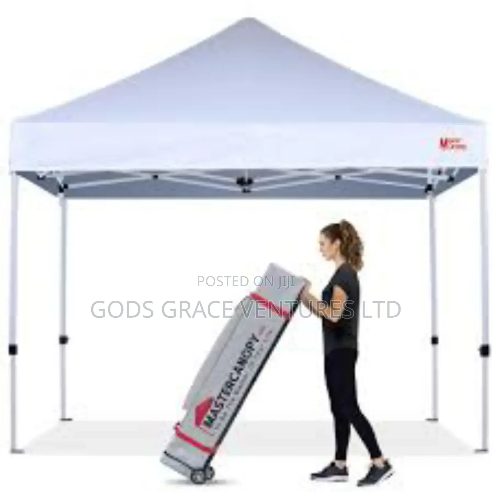 10 X 10 Foldable Canopy Imported