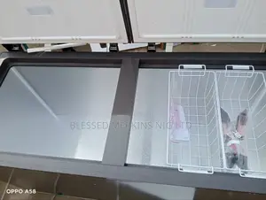 Hisense Deep Freezer Double Door 500litres Model 66dd