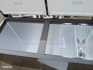 Hisense Deep Freezer Double Door 500litres Model 66dd