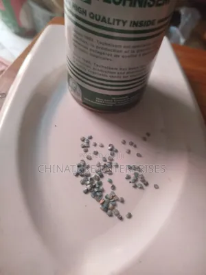 High Quality Garden Egg Seeds 30seeds