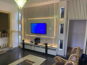 Elegant Television Consule 