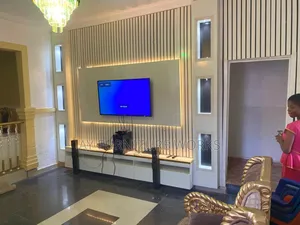 Elegant Television Consule 