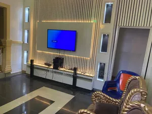 Elegant Television Consule 