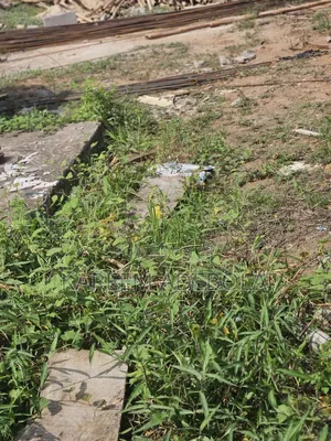 Residential Land at Magodo Phase 2 Shangisha