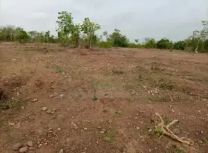 6 Plots of Land at Soyoye, Abeokuta.