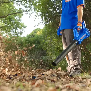 Cordless Hand Blower 20v
