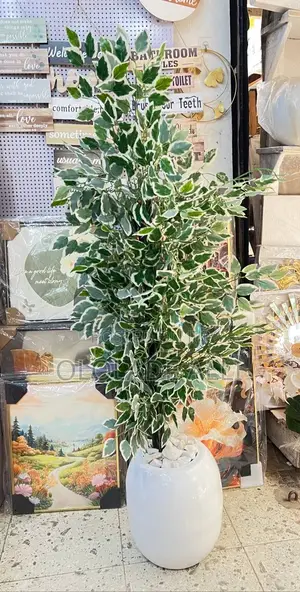 Indoor/Outdoor Fibre Vase and Plant
