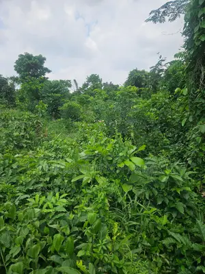 2plot of Land at Akogi Jankanta for Sales
