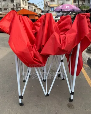 10 by 10 Feet Black Pole Foldable Canopy Tent