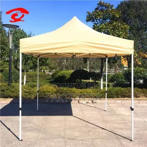 10 by 10 Feet Black Pole Foldable Canopy Tent