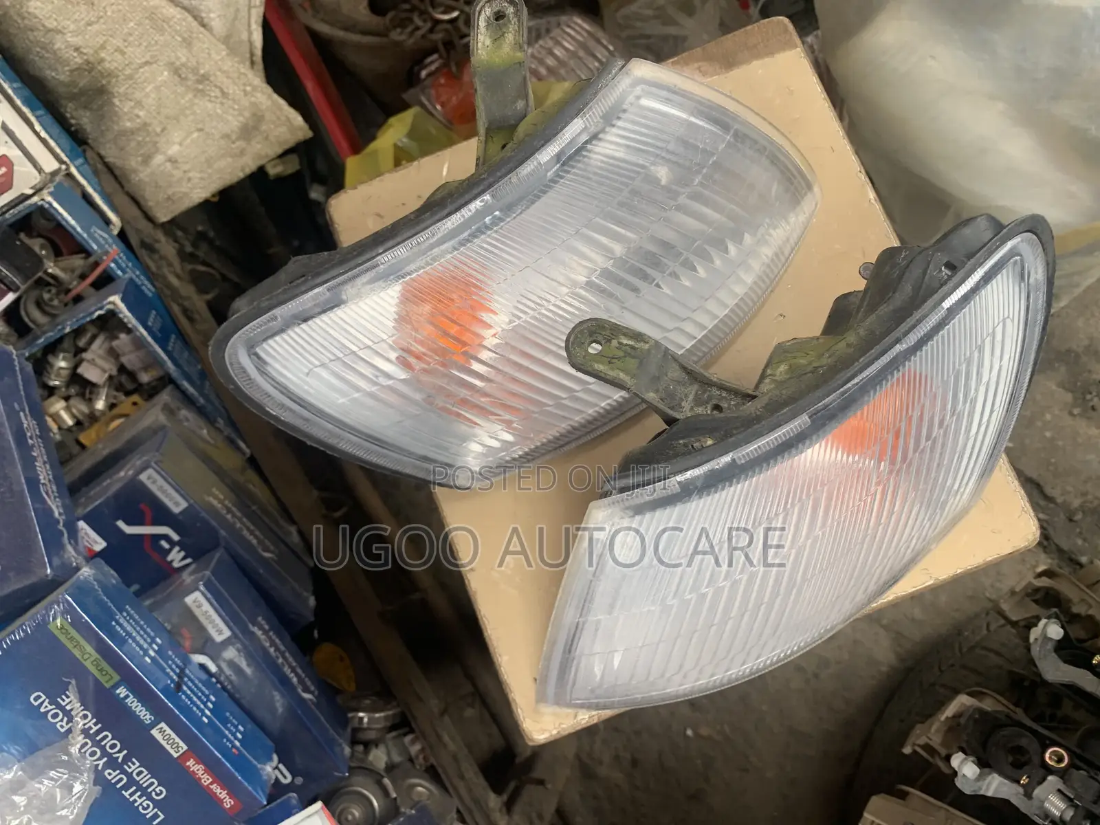 Pointer Carina E