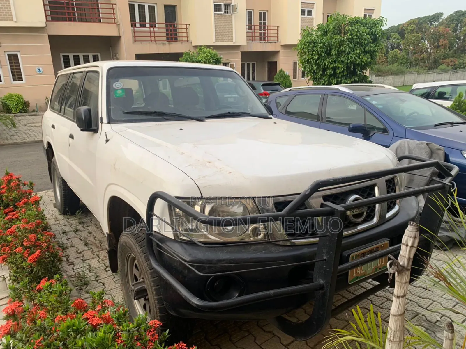 A Passionate Daily/Errands Driver (With a Valid Driver's License)