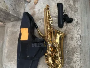 Photo - Premier Alto Saxophone Sanjinton