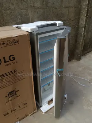 Photo - Lg Upright Standing Freezer 6 Step the Backup