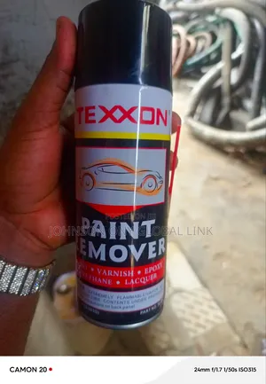 Paint Sprayer