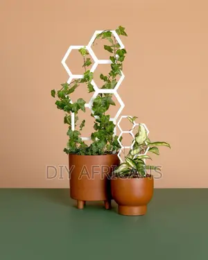 Plant Trellis Medium and Medium Hanging