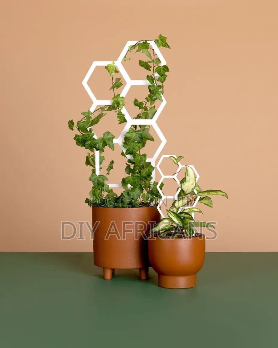 Plant Trellis Medium and Medium Hanging