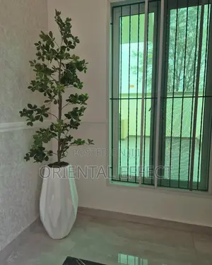 Straight Cedar Tree (210cm) With Big Okro Pot (White)