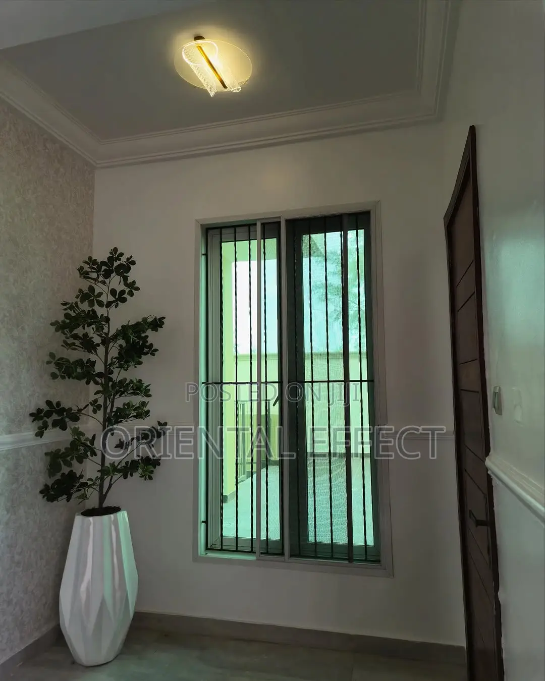 Straight Cedar Tree (210cm) With Big Okro Pot (White)