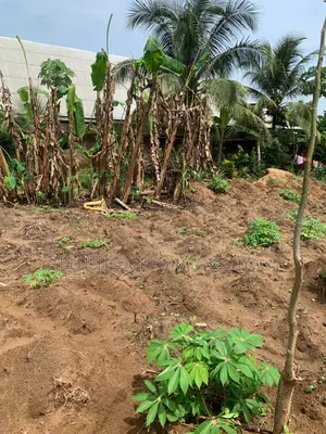 Photo - A Plot of Land