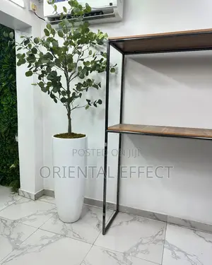 Eucalyptus (165cm) With Tall Cylindrical Pot