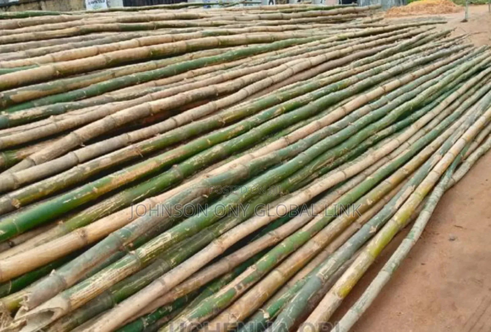 Scaffolding Bamboo