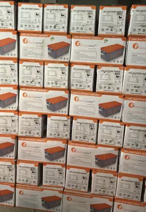 220ah 12v Felicity Dry Cell Battery Presently