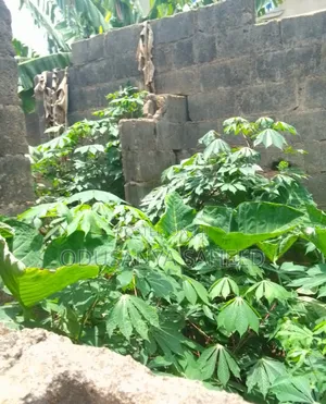 For Sale Property