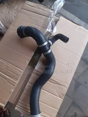 Radiator Hose Down One Mercedes Benz 166