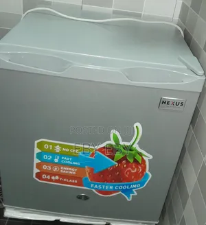 Photo - Bedside Refrigerator
