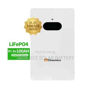 Dawnice 51.2v 100ah Wall Mounted Lithium Batteries