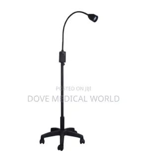 Examination Light