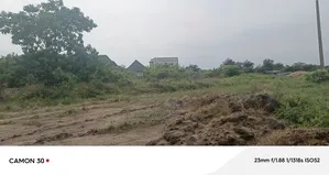 Landed Property