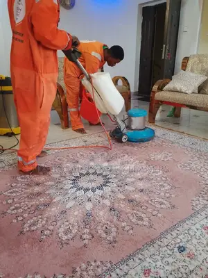 Professional Carpet Upholstery Cleaning