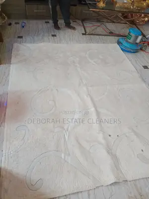 Carpet Cleaning and Vacuuming