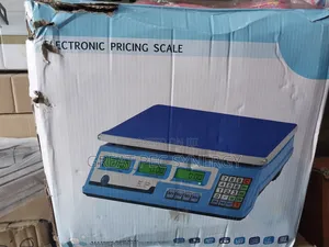 Kitchen Electronic Scale