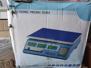 Kitchen Electronic Scale