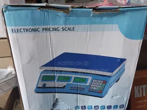 Kitchen Electronic Scale