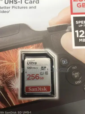 Sandisk 256gb Sdxc Uhs-i Card