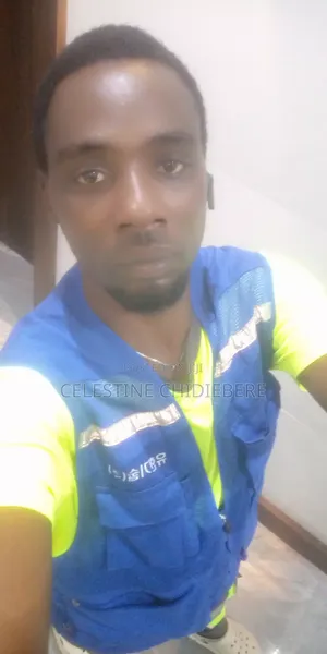 Mr, Celestine Chidiebere E