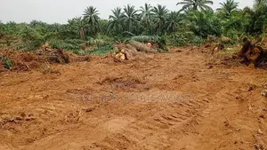 Ogbor Hill, Along Opobo Azumini, Obingwa Aba
