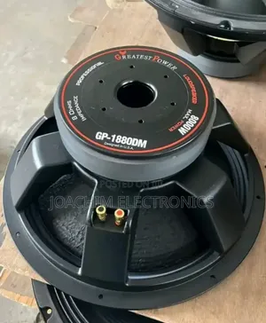 18 Inches Double Magnet Big Coil SPK