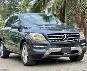 Mercedes-Benz M Class 2014 Blue