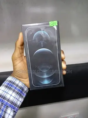 New Apple iPhone 12 Pro Max 256 GB Silver