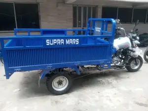 New Tricycle 2024 Blue