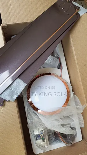 Trinity India Ceiling Fan With Light