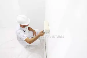 Photo - Vibrant Painting Service
